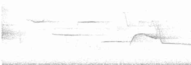 Cerulean Warbler - ML619250724