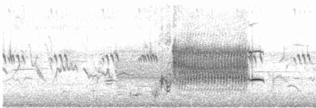 vlhovec červenokřídlý - ML619250784