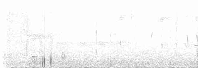 Kuzey Amerika Kara Ağaçkakanı - ML619251367