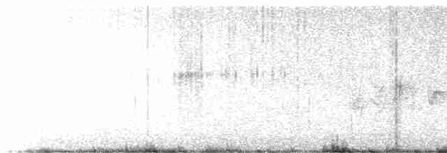 Braunaugenvireo (pusillus) - ML619251733