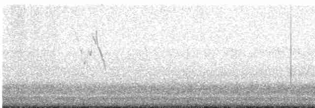 White Wagtail - ML619252593