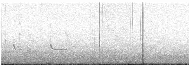 Common Redshank - ML619252643