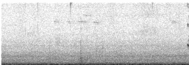 Common Redshank - ML619252647
