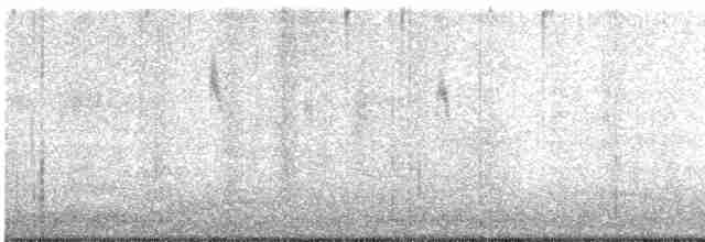 Gray Wagtail - ML619253009