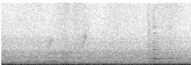 סנונית רפתות - ML619253051