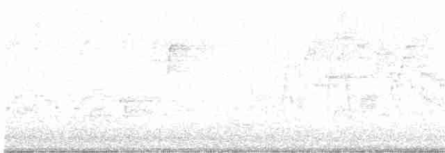 Bicknell Bülbül Ardıcı - ML619253120
