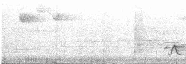 Gri Göğüslü Çıtkuşu - ML619253394
