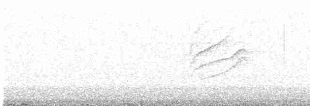 Blackpoll Warbler - ML619253405