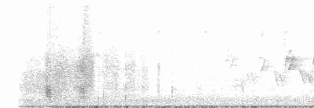 Черногорлая хвойница - ML619253621