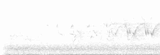 Cerulean Warbler - ML619253898