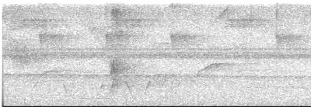 Weißstirn-Ameisenschnäpper - ML619253960