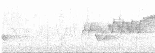 Cerulean Warbler - ML619255084