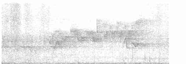 Cerulean Warbler - ML619256789