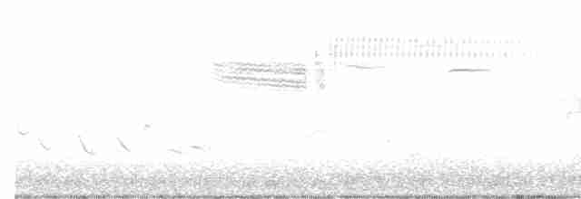 Голубокрылая червеедка - ML619256877