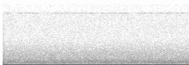Тиранчик-довгохвіст білогорлий - ML619257144