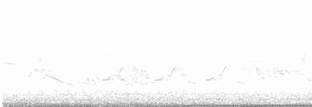 Каролинский крапивник - ML619257616