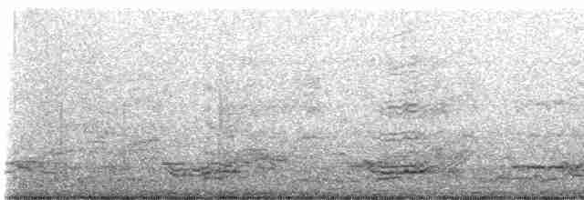 Kulaklı Karabatak - ML619258789
