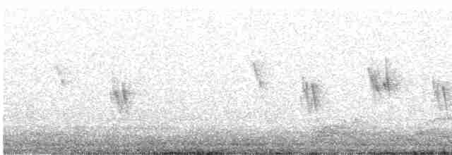 Tree Swallow - ML619259093