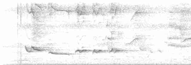 Turuncu Başlı Ardıç - ML619259625