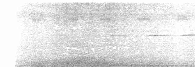 Лінивка-строкатка маскова - ML619259851