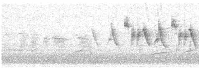 Common Yellowthroat - ML619260274