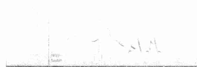 præriesnipe - ML619260281