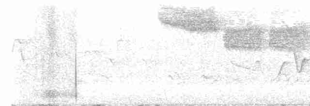 Червоїд золотокрилий - ML619260318