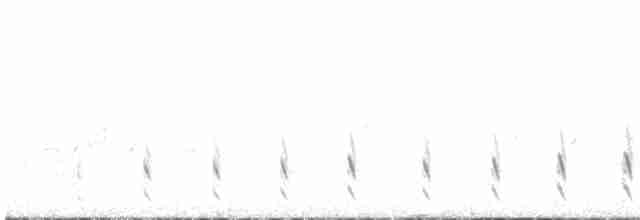 חרטומית ביצות - ML619260320