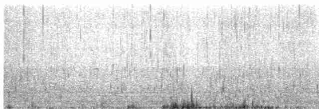 Kara Karınlı Kumkuşu - ML619260379