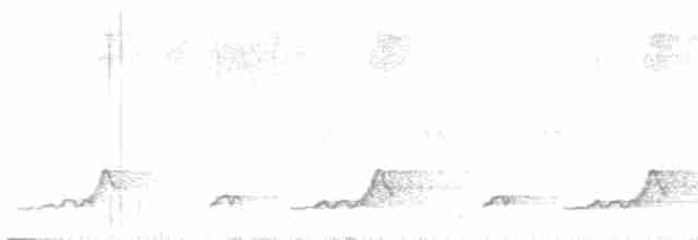 Schwarzkehl-Nachtschwalbe - ML619260424