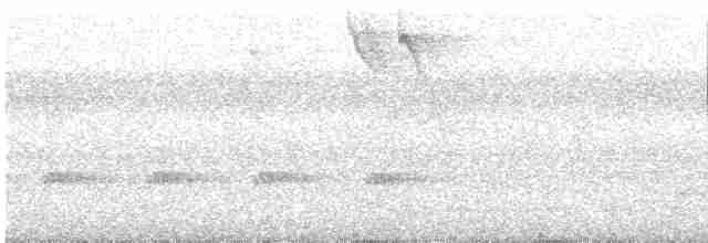 Sporophile à front blanc - ML619260514