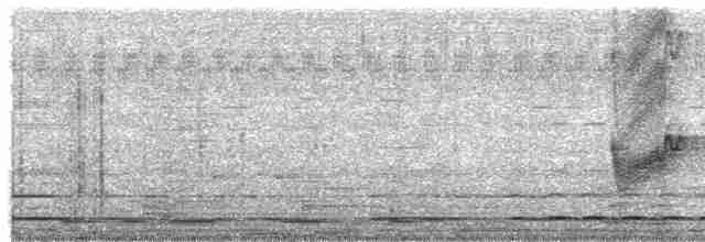 Savannennachtschwalbe [affinis-Gruppe] - ML619260950
