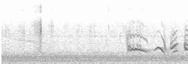 Doğulu Mavi Ardıç - ML619261294
