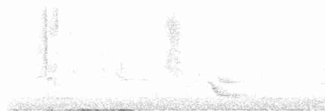 Бурый соловьиный дрозд - ML619262333