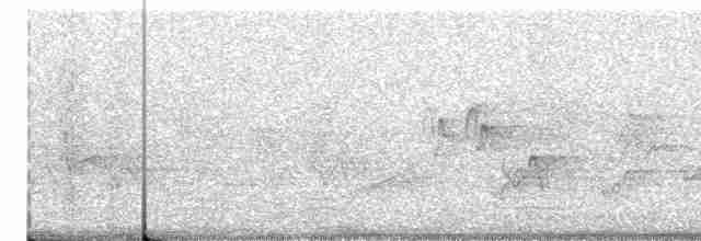 Голубокрылая червеедка - ML619262664