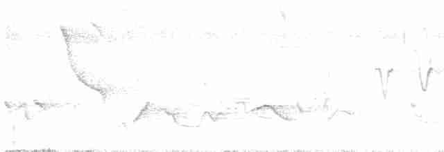Northern Waterthrush - ML619262802