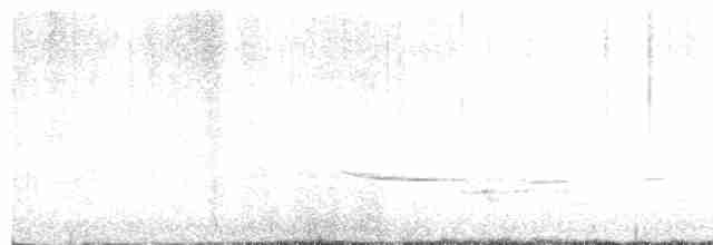 Дрізд-короткодзьоб плямистоволий - ML619263180