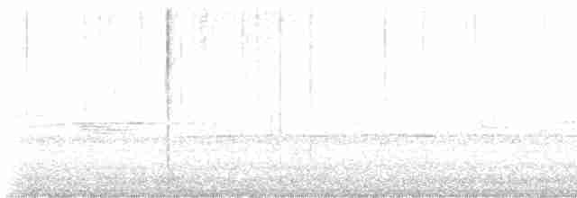 גיבתונית לבנת-גרון - ML619263181