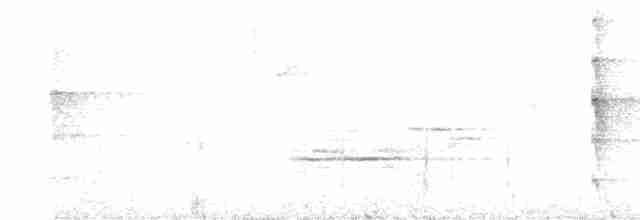 Пестрогрудый лесовик - ML619263547