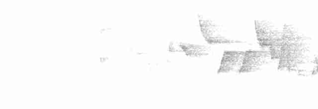 Canada Warbler - ML619263558