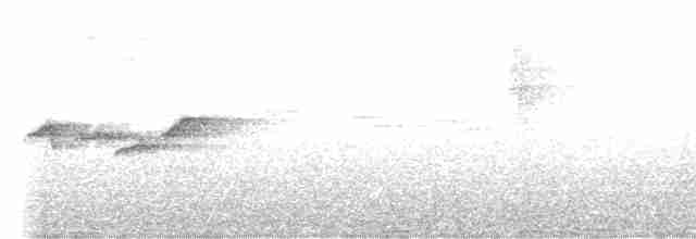 Gri Başlı Kanarya Sinekkapanı - ML619263564