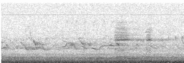Ring-necked Pheasant - ML619263760