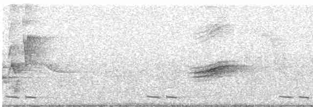 Black-billed Cuckoo - ML619264119