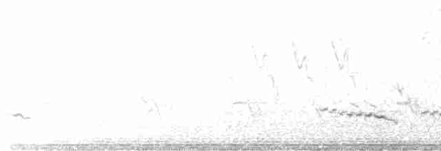 Sinsonte Norteño - ML619264491