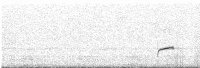 Дрізд-короткодзьоб Cвенсона - ML619264576