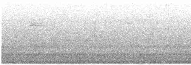 Troglodyte de Baird - ML619265512