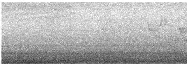 Troglodyte de Baird - ML619266252
