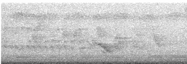 Дрізд-короткодзьоб бурий - ML619267632
