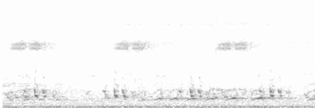 Streifenbartvogel - ML619268736