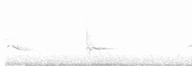 Paruline à gorge noire - ML619269005